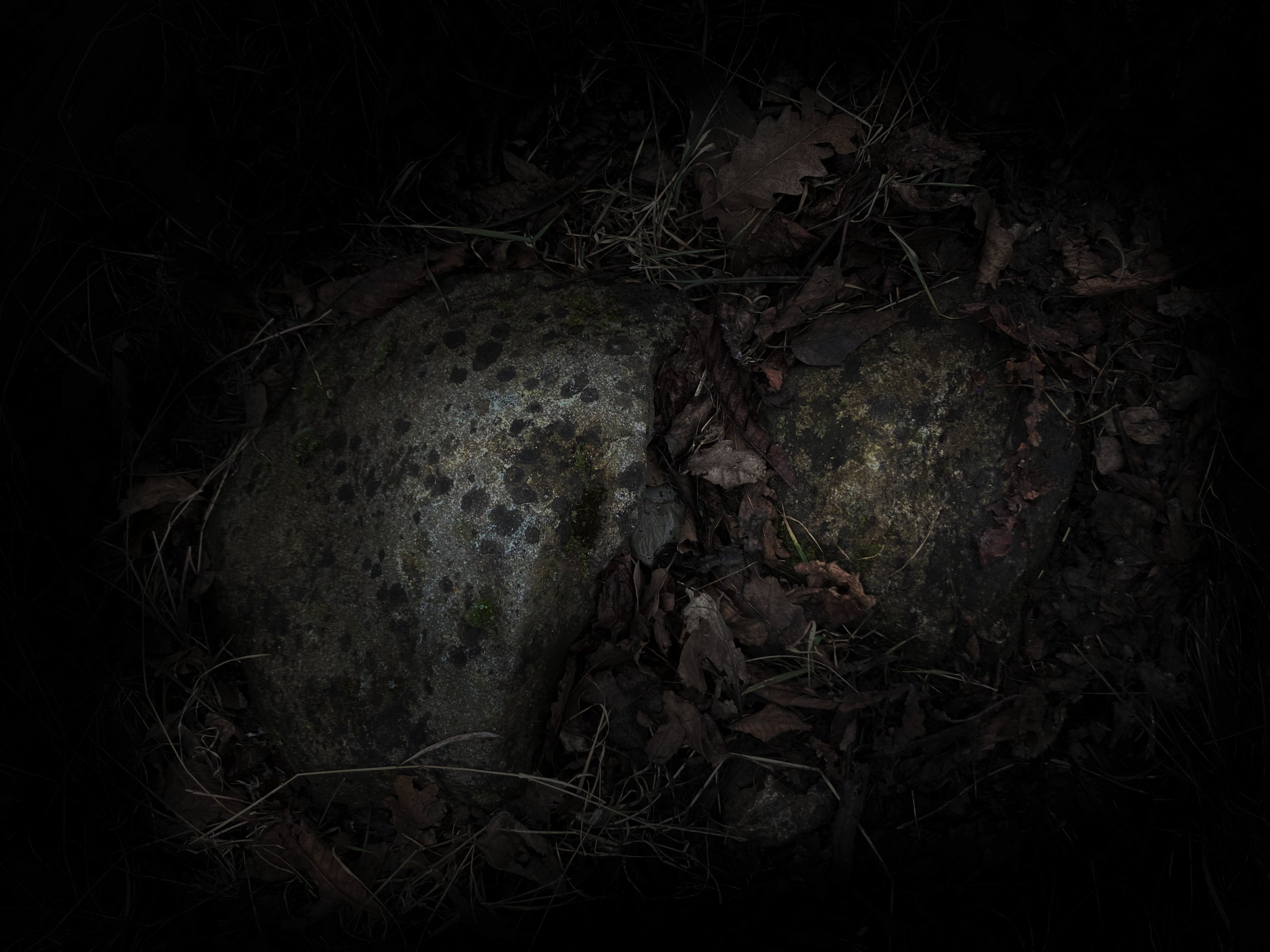 Gravity, p4: stone in the dark