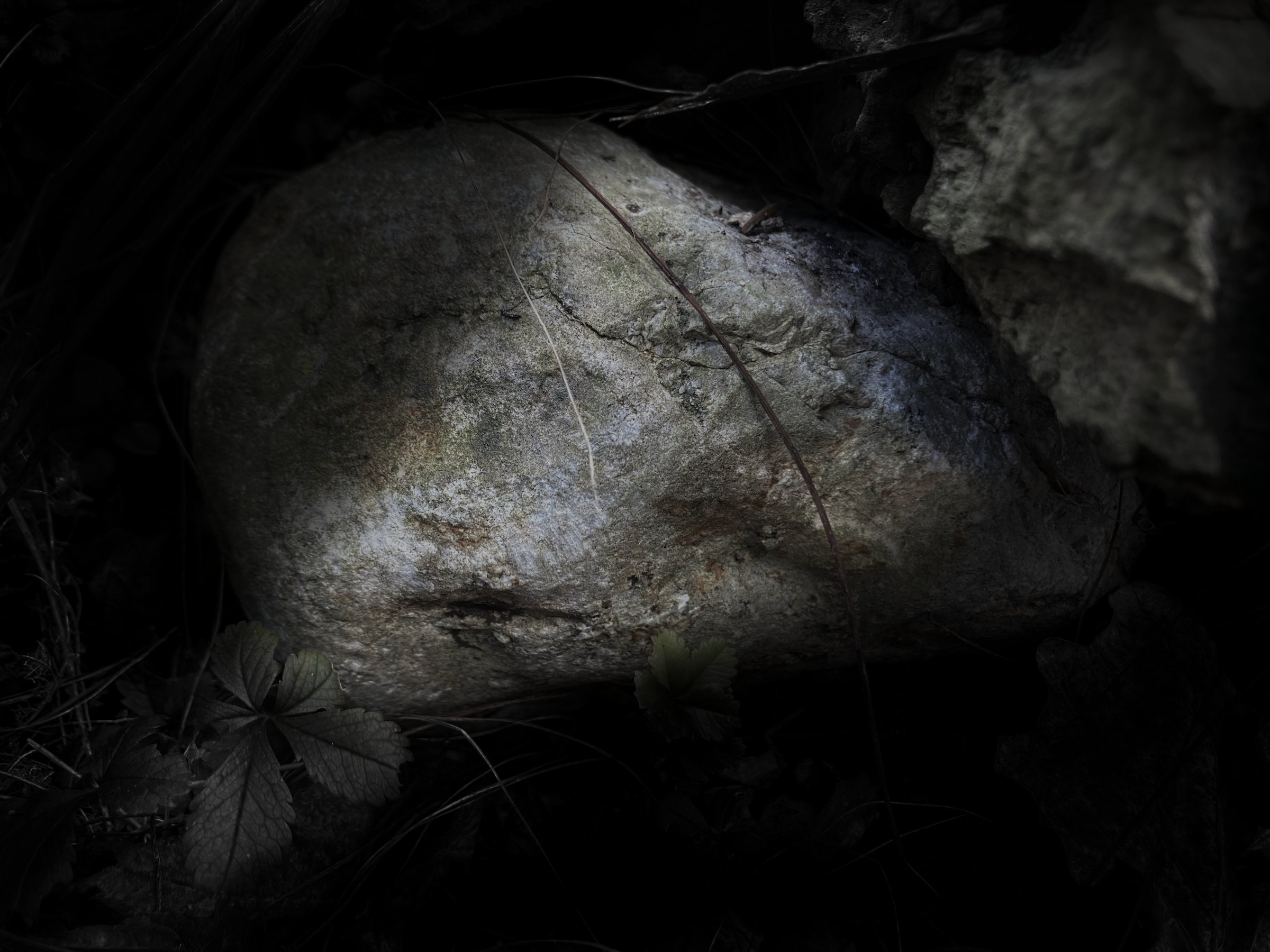 Gravity, p14: stone in the dark
